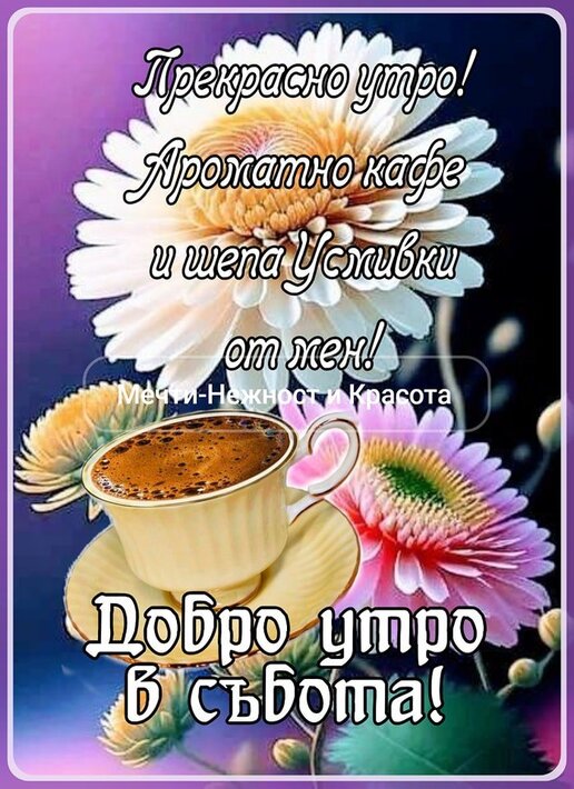 0-02-05-e9266963f74f311e9139d8e552f53a4e4db38c1f8be83d8773ced5f7047c6b75_e2578052b0baafd3.jpg