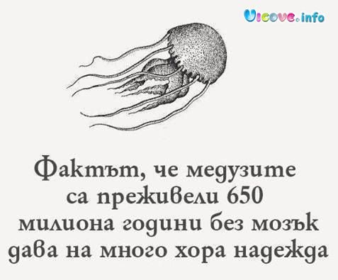 0-02-05-8bff9ca529831abde3d3898452dc7caba58ee0e3747303218734d46ac8b7d453_d610129ec96aaa92.jpg