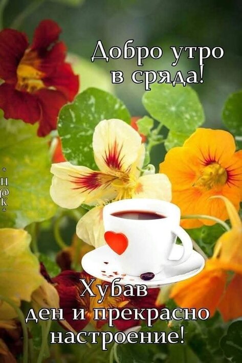 FB_IMG_1750220403751.jpg
