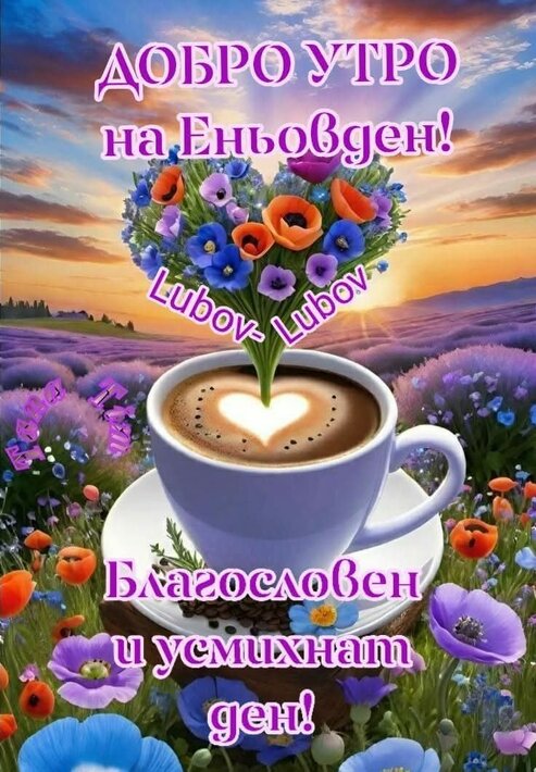 FB_IMG_1750720843656.jpg