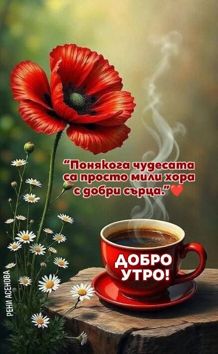 0-02-05-fc3e5a8db3a638a17359287ddf41f29ba22dfa9c0fb83265494bc4c7c3cf1507_ddf9bac4ad33b95b.jpg
