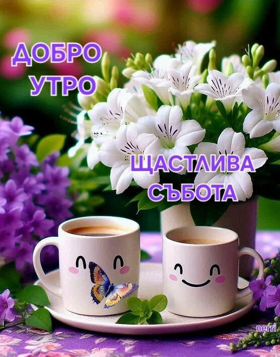 0-02-05-3b313b4d3f8db4319eeffec6faedbbe9b0dbf60f751758420a1acea42f3ff7a1_ad028c9a37229a6e.jpg