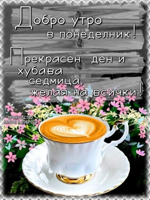 330825688_1255675855346803_8406016931551695020_n.jpg