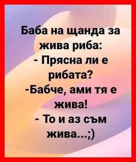 0-02-05-9d278edc722a0d2b485bf42b684d7493dba0cb1d8405b63ed58a29e6073d7fd3_a1390c22af815edf.jpg