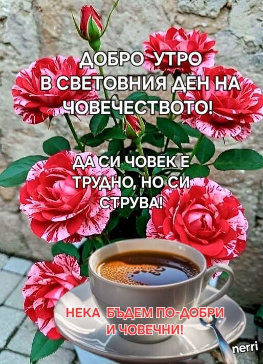 0-02-05-eff826b56cb7dec82d915716be87d6bcd608c604e1eb21cf771be3eab36f4cc9_2e5999d549e3ae2f.jpg