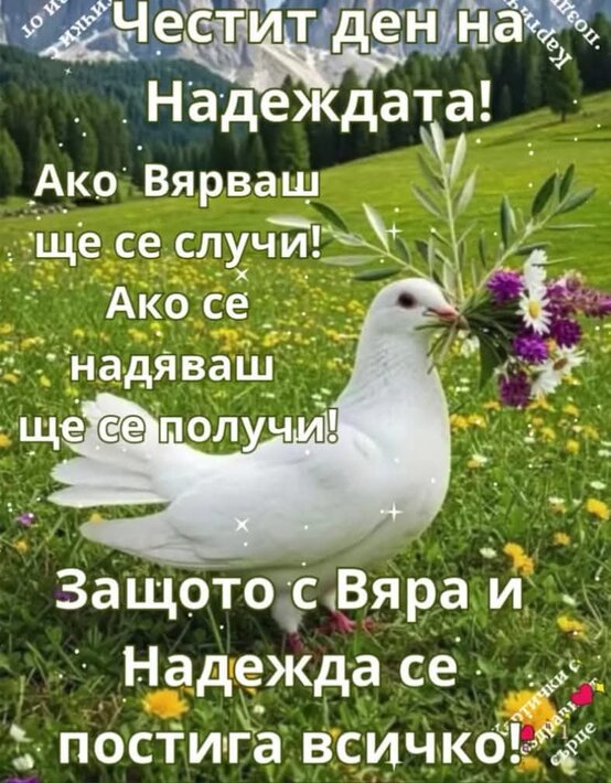 0-02-05-f0e9ac1335bf1dd145d1c24a418f91a8dd863af062f34e508b264f8fab7605eb_74d8d872884f76e1_2_10.jpg