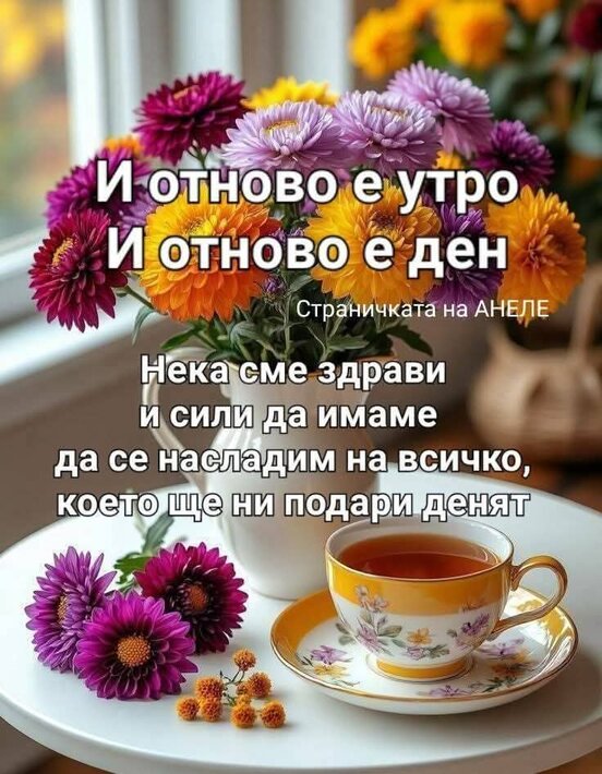 0-02-05-d37ab2d1857ba7bbb4f27fbd9bb37635a101ab111589b160c4eccc4a1330b2dc_6949554531033f7c.jpg