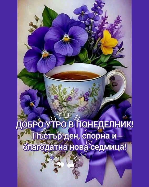 0-02-05-6e1bddd436ae186f073025bc2ff9ad1b0ed4e52d709babda0156fb1fb62ecf17_5609e8be321d19e4.jpg