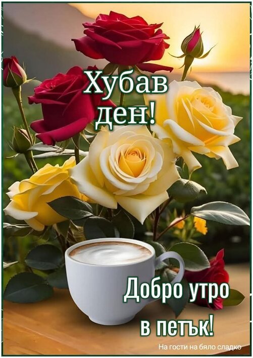 1000003070.jpg