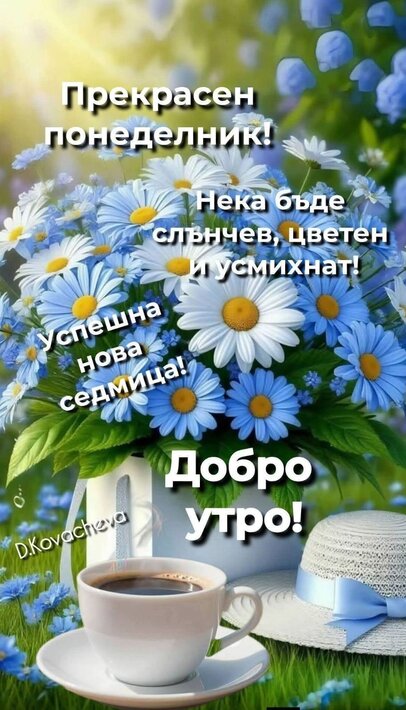 0-02-05-1af6d9bae22c17616569ffb746a550e2292f4d70cadd6e4fb5b1a65c5d2196ae_d0f68ea55a523786.jpg
