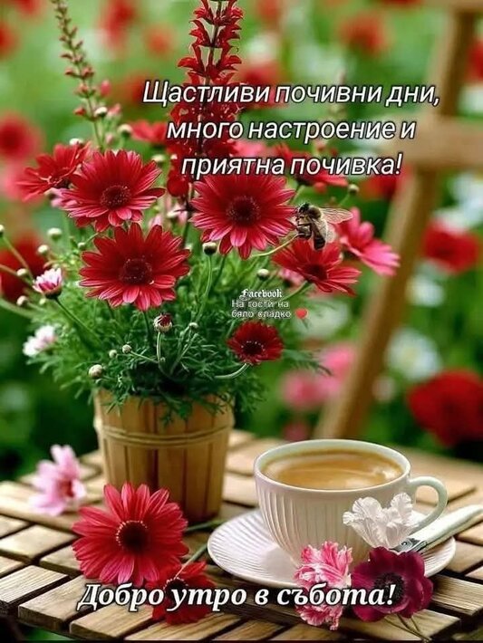 0-02-05-cb88c78c2c049276b78dbba91efba71bc89dede53ad753c023cb92fbfbbbe55f_36db6e968dd0bb1b.jpg