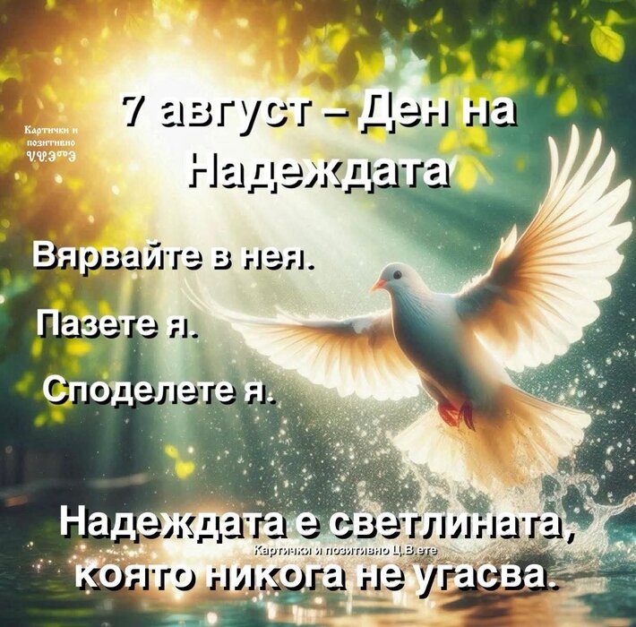 0-02-05-53a75cd627836f0d6648890bf967224ee46e623c2be7546bc8495f8257211c6d_607c276da559484.jpg