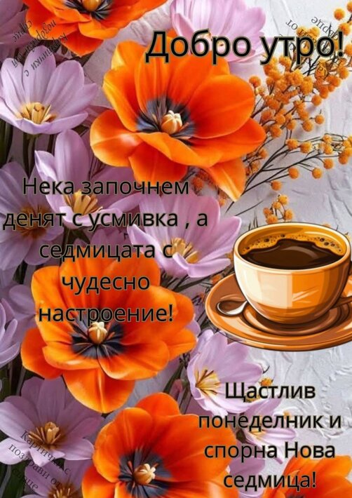 0-02-05-19cf504e5ab1368282d5cb39f3a932a5aa4396d7fe864957311d4561885e5c8a_6f2988404a5c4824.jpg