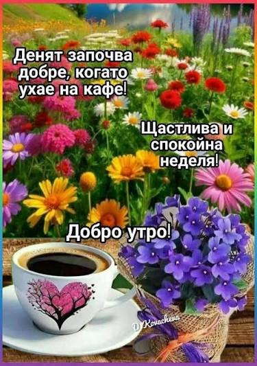 0-02-05-90d54b7e69878d4b096883b6b7c09817a3bce0c5c6740e3055854dd960466ceb_ffaf7434d28f71c4.jpg