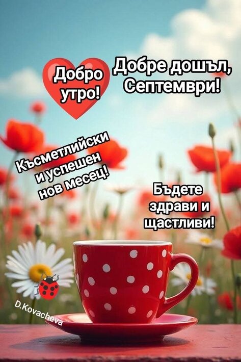 0-02-05-93a5ac1ba4446c598db6032dfb8f7873be8604624c7150043ad84d4ff8a497ea_7c99fab613c4f394.jpg