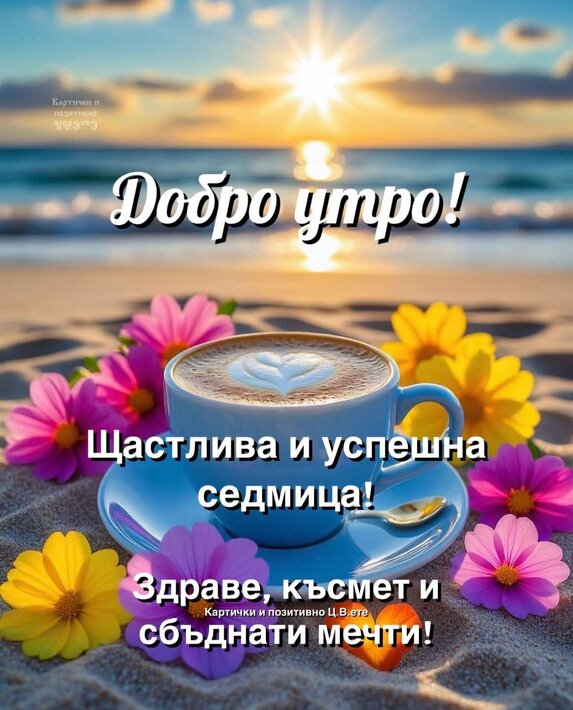 0-02-05-ef32476374499b21c1931bbeedd4c85130189b053f8546d45a69ea8336ea0442_c59b978470e7f73c.jpg