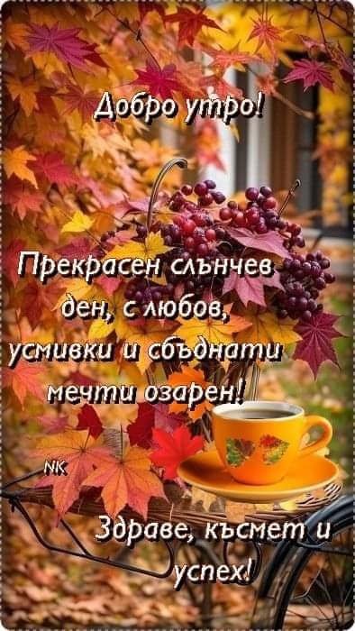 0-02-05-e3f24e9c41ad42edab4293c6e67a7f6864bb2e02bc23ee7f507edbf4f18f91ea_f0a45a8e8929da8d.jpg