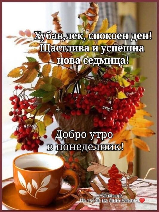 0-02-05-7502f7dfb324c1e15b8020bdd4b4284a12e8060b530c8aa3442b820a5ea00ff9_ea4d9fe0251cb0f2.jpg