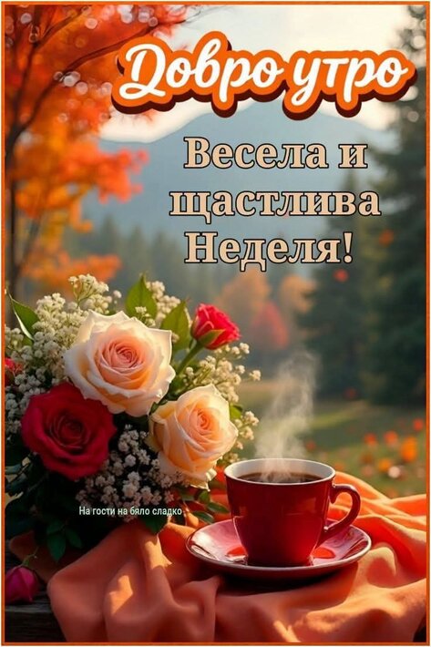 0-02-05-e7b6e48cd71ab7e09fc61eda2c686374c810730c295afc4ccd51d558971cd5f3_b9dd4b148bb3a5c2.jpg