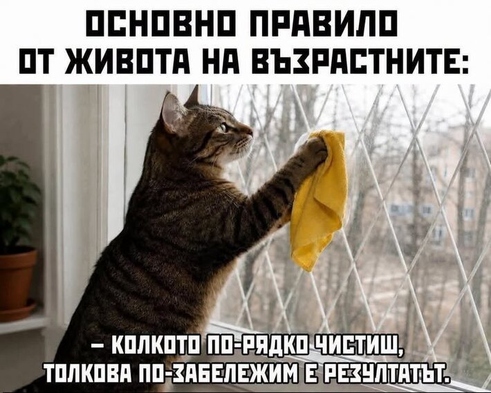 AfEhg.jpg
