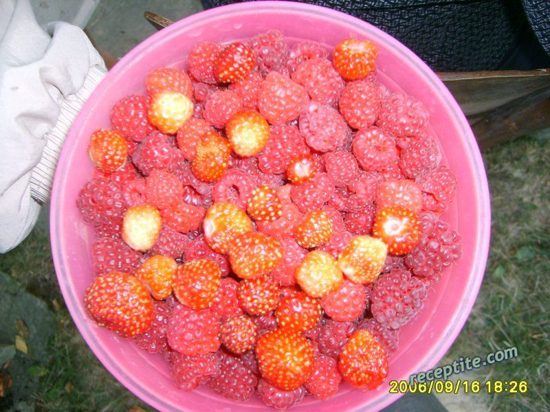 Снимки към Разни