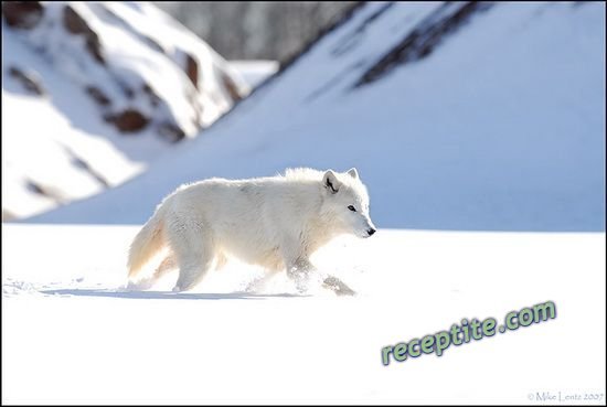 Снимки към Разни