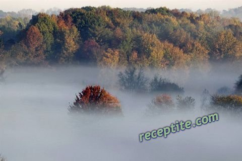 Снимки към Разни