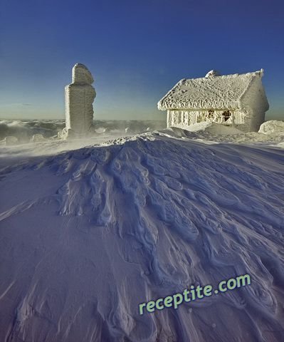 Снимки към Разни