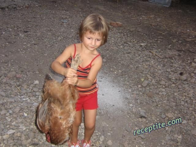 Снимки към Веселите Готвачи