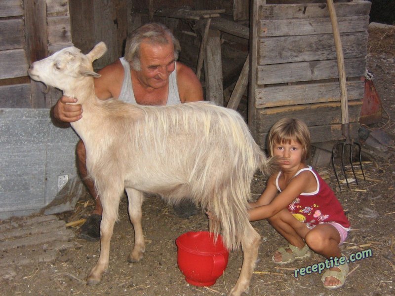 Снимки към Веселите Готвачи