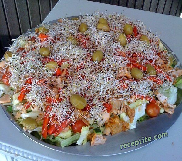 Снимки към Празнична пилешка салата с маслини и авокадо