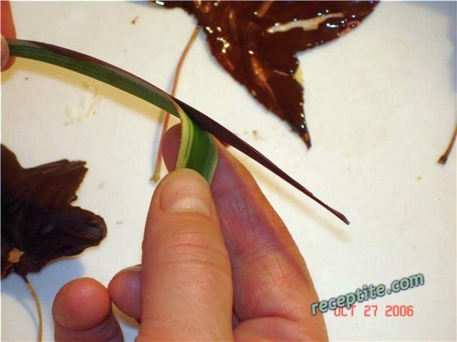 Снимки към Шоколадови листа