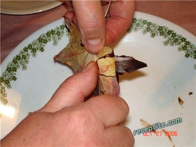 Снимки към Шоколадови листа