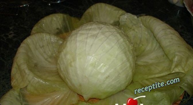 Снимки към Пълнена зелка по Руски