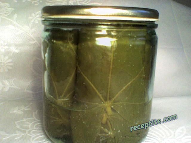 Снимки към Стерилизирани листа от липа