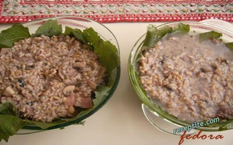 Снимки към Скрито под лозата