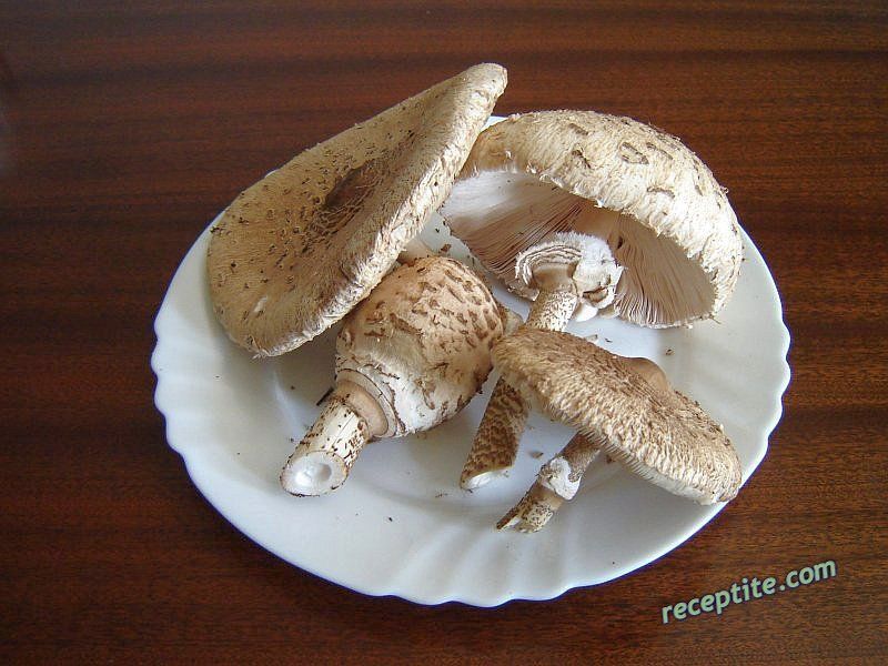 Снимки към Гъби сърнели на фурна
