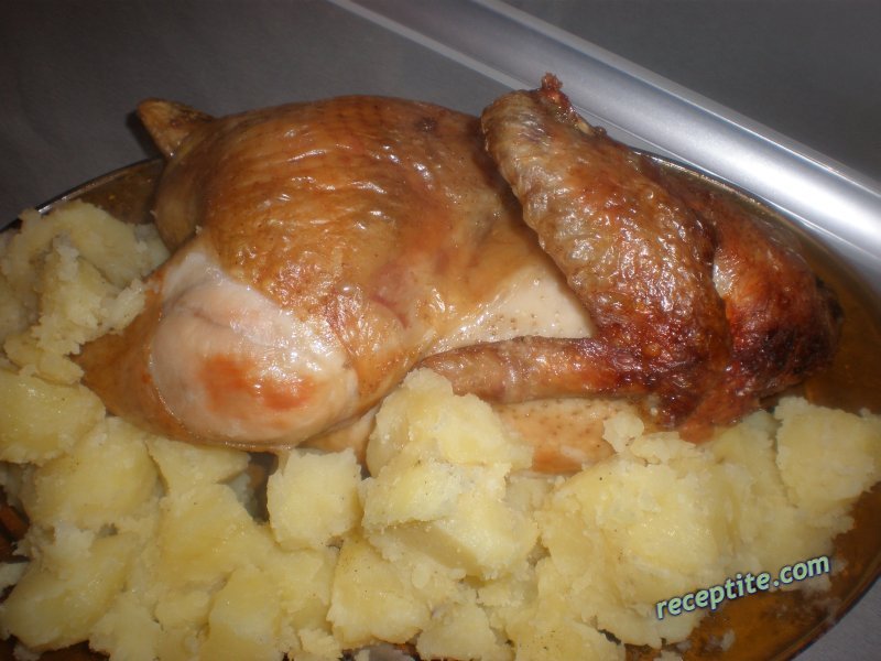 Снимки към Печено пиле в книжен плик