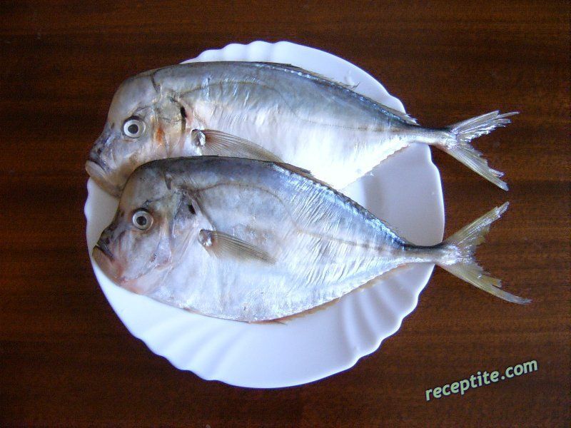 Снимки към Маслена риба с маслини и праз