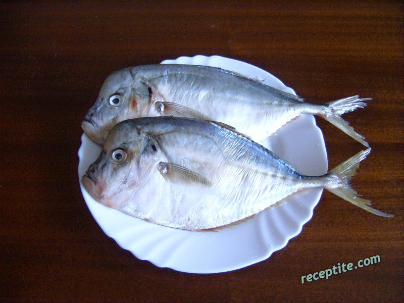 Снимки към Маслена риба на скара