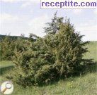 снимка 3 към албум Разни