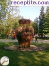 снимка 54 към албум Пътувания