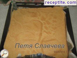 виж снимката виж снимката
