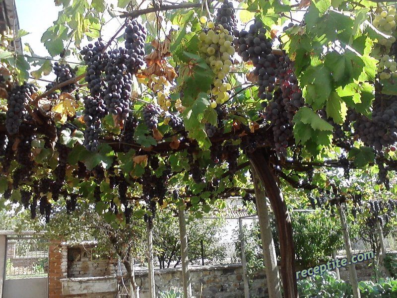 Снимки към Разни