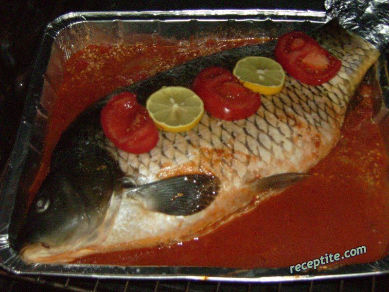 Снимки към Пълнен шаран за Никулден