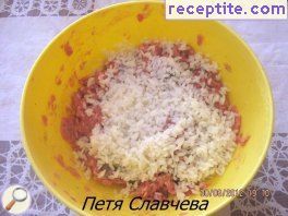 виж снимката виж снимката