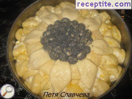 виж снимката виж снимката