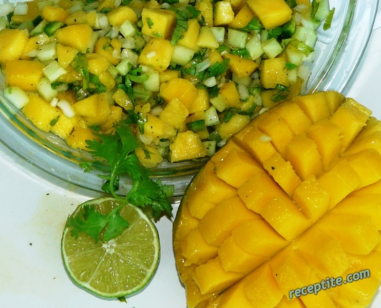 Снимки към Салса с манго