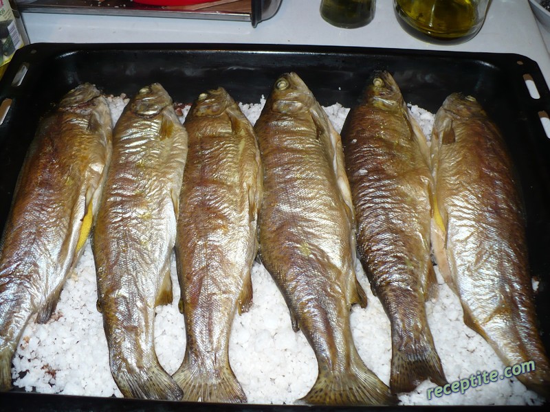 Снимки към Риба в морска сол