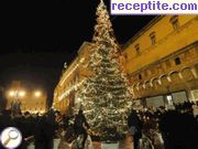снимка 44 към албум Необичайни елхи